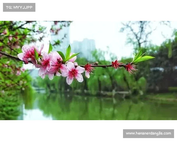 https：__ad.oceanengine.com